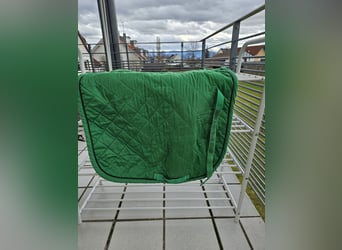 Satteldecke DR in grün