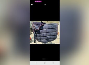 Black Forest Schabracke + Fliegenohren FULl