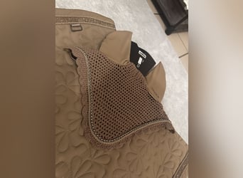Eskadron Platinum Edition beige Glitzer DR