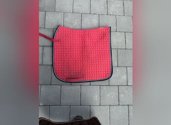 Eskadron Schabracke DR Pink