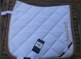 HKM Schabracke, Lauria Garelli