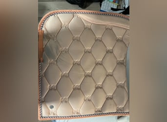 Ps of Sweden Schabracke