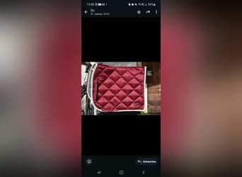 Riderschoice Dressurschabracke DL