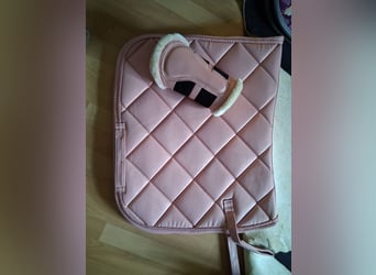 Schabracke Cavallo