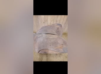 Westernpads