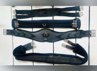 Sattelgurte ab 10 EUR