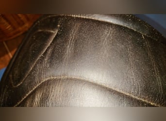 Kurzgurt von Fairfax 85cm