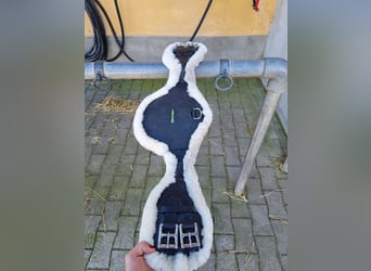 Sattelgurt zu verkaufen