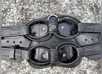 Stübben Equisoft Kurzgurt, 60cm incl. Neoprenpad