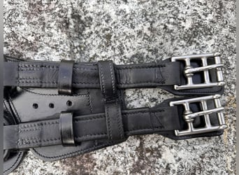 Stübben Equisoft Kurzgurt, 60cm incl. Neoprenpad