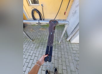 Sattelgurt zu verkaufen