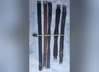 Sattelgurten in div. Längen und Farben