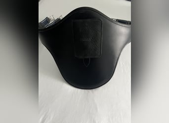 Passier Langgurt Springen Top Stollengurt