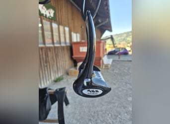 Kavalkade Steigbügel breiter Tritt