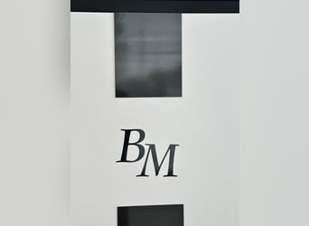 CARBON PRO mit Aufsatz Premium Sattelschrank