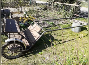 2-3-sitziger Einachser " Familien-Sulky,"