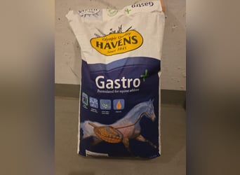 2 ungeöffnete Packungen Gastro plus je 20 Ruro