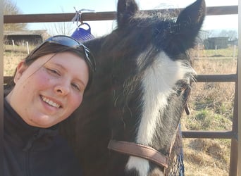 Achtsame Pferdepflege & sanfte Begleitung