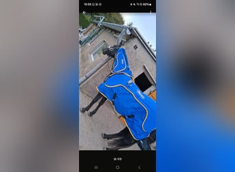 Anduvet Massagedecke 