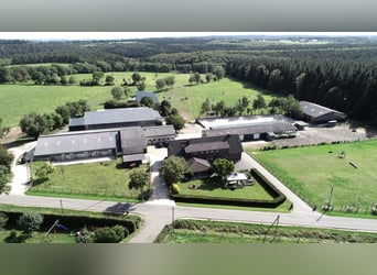 Aufzuchtplätze 2025