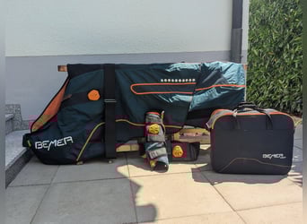 Bemer Horse Set 