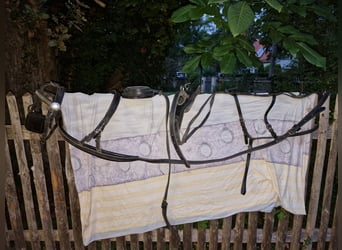 Brustblattgeschirr, Kutschgeschirr, Geschirr (Schlumpf)