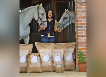 Das ALLESKÖNNER HANF&KRÄUTER Müsli für dein Pferd