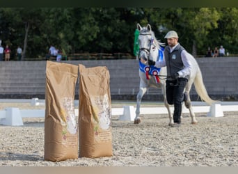 Das ALLESKÖNNER HANF&KRÄUTER Müsli für dein Pferd