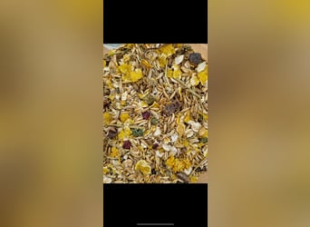 Das ALLESKÖNNER HANF&KRÄUTER Müsli für dein Pferd