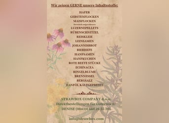 Das ALLESKÖNNER HANF&KRÄUTER Müsli für dein Pferd