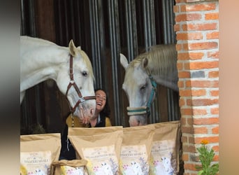 Das ALLESKÖNNER HANF&KRÄUTER Müsli für dein Pferd