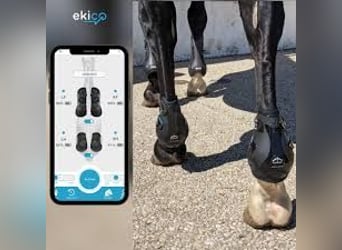 Ekico Tendiboots Equine - Ganganalyse-System für Pferde (neuwertig)
