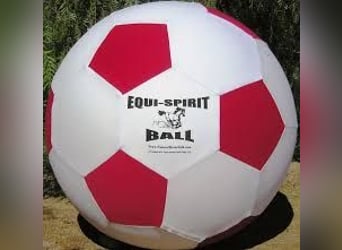 Equi-Spirit Horse Ball