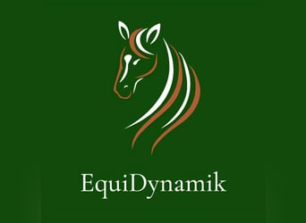EquiDynamik - Craniodynamiktherapie für Pferde