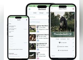 Equimate - App für deine Pferdezucht