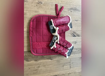 Eskadron Schabracke inkl. Gamaschen und Fliegenmütze