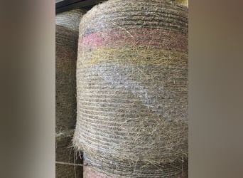 Heu in Rundballen Durchmesser 1,20 zu verkaufen  Standort 66606 St Wendel 