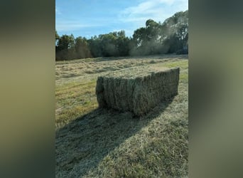 Heu und Stroh zu verkaufen / Rundballen/ Quaderballen