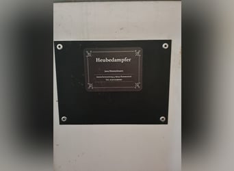 Heubedampfer 
