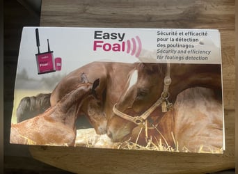 Hochwertiges EasyFoal Geburtsmelder Komplettset zu verkaufen