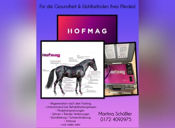 Hofmag Behandlung für dein Pferd!