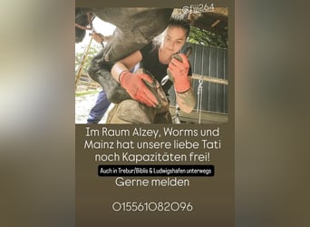Hufbearbeitung/Hufpflegerin hat Kapazität 