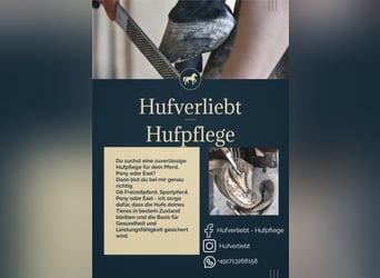 Hufpflege / Barhufpflege 