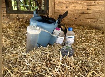 Inhalator