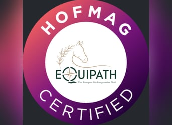 Mobile HOFMAG-Therapie (PEMF, gepulstes Magnetfeld)