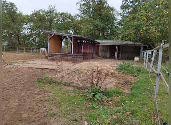 Offenstall in Berkhof hat einen Platz frei 