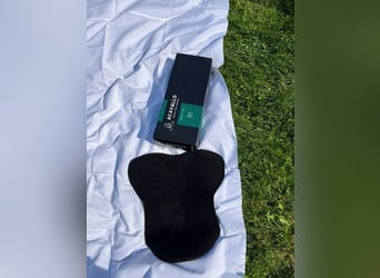 Paket: Reitzubehör, Tasche, Riemen, Trensen, ...