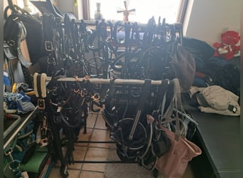 PFERDEFLOHMARKT alles 20%