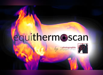 Pferdethermografie und Sattelkontrolle equithermoscan