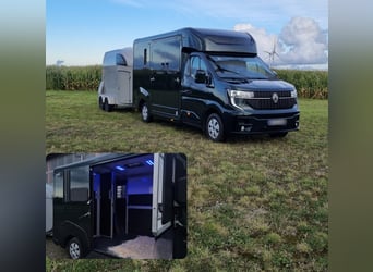 Pferdetransport, Pferdetaxi mit Herz 